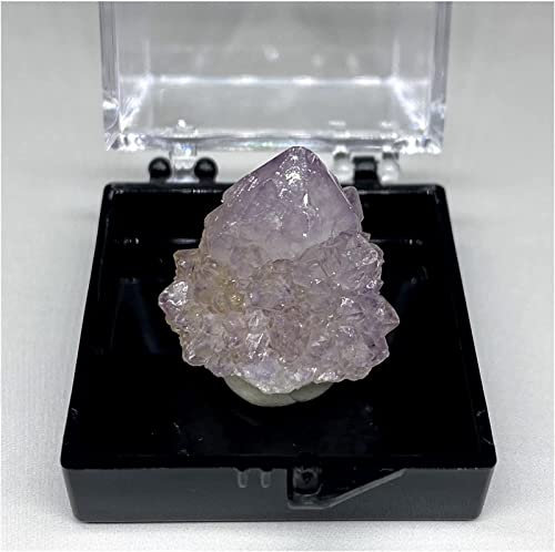 CZAOINCU Raumdekoration Amethyst-Rohstein, 100% natürlicher Südafrika-Kaktus-Amethyst-Quarz-Kristall, Cluster-Steine ​​und Kristalle, Heilquarz (Farbe: Stil 2) (Color : Style 2)