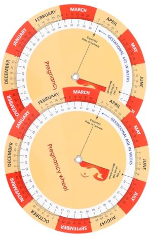 FOMIYES Affiche Développement Fœtal 2 Pièces Dossier Grossesse Complet, Tableau de Suivi pour Femmes Enceintes, Outil Pédagogique