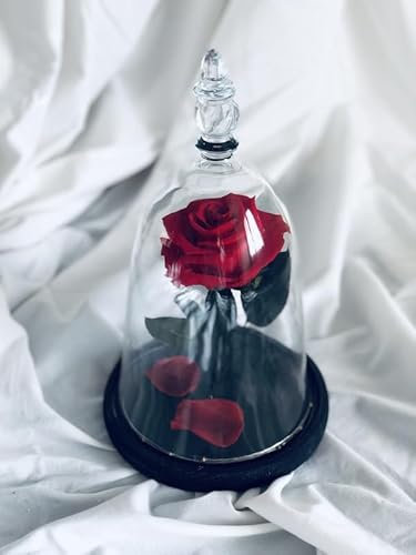 Desayunos a la carta Rosa Bella y Bestia. Flores Naturales eternas en cúpula de Cristal (Bella y Bestia - Edición Especial)