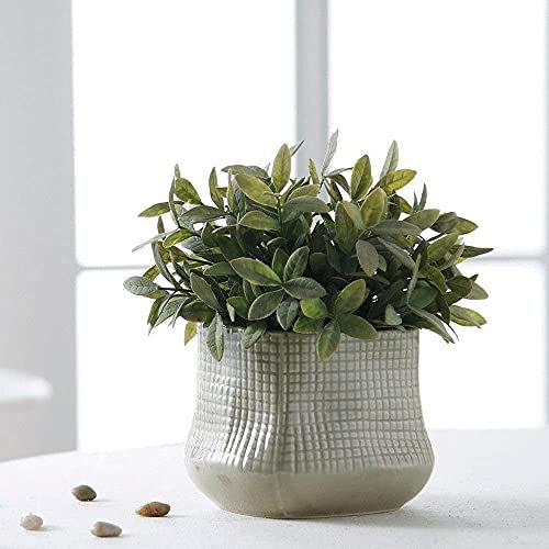 Blumentopf-Dekoration, Blumentöpfe, Behälter, Wand, Fenster, Gang, Treppen, Schlafzimmer, Haushalt, Blumenbehälter, Pflanzgefäß