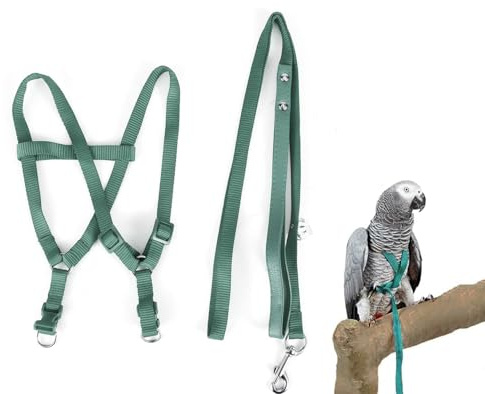 Nicoone Vogelgeschirr Leine Papagei Verstellbar Ara Kakadu Grün | Weiches Material, Outdoor-Training, Haustier-Vögel, Ausbrechschutz, Einfaches Anlegen