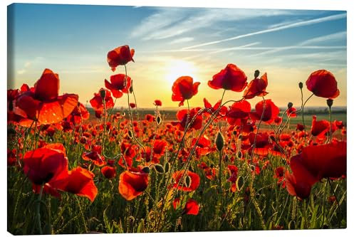Posterlounge Mohn am Abend Leinwandbild von Steffen Gierok 120 x 80 cm Rot Wandbilder Wanddeko