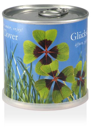 MacFlowers® | Kleines Anzuchtset mit Glücksklee | Geschenk Set mit Einer Sorte Zwiebeln in süßer instant Blumendose