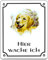 Desi-Schilder Retriever-Emaille-Schild-120 x 100 mm-Hundeschild-Türschilder-Hund-Tiere-Email-Warnschild