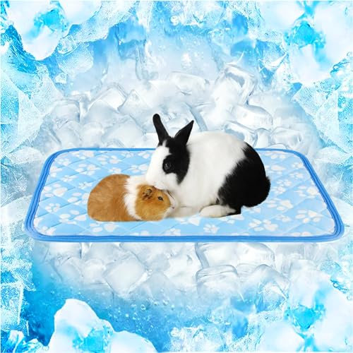 Rywell Entfärbung Kühlmatte für Hunde Katzen - 45×60cm Waschbar selbstkühlend Kälte Hundematte für unterwegs - rutschfest Wasserabsorbierend Tragbar Geruchlos Hundedecke für Haustiere Sommer - S