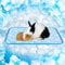 Rywell Entfärbung Kühlmatte für Hunde Katzen - 45×60cm Waschbar selbstkühlend Kälte Hundematte für unterwegs - rutschfest Wasserabsorbierend Tragbar Geruchlos Hundedecke für Haustiere Sommer - S