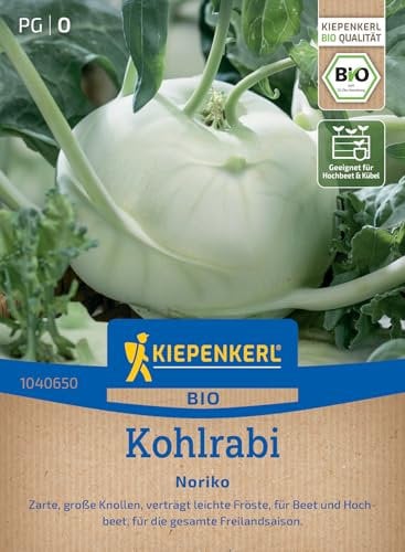 Kiepenkerl BIO Kohlrabisamen Noriko 1040650 - BIO - zarte, große Knollen - verträgt leichten Frost - Freilandsaison - Samen Gemüse, Saatgut, Gemüsepflanzen