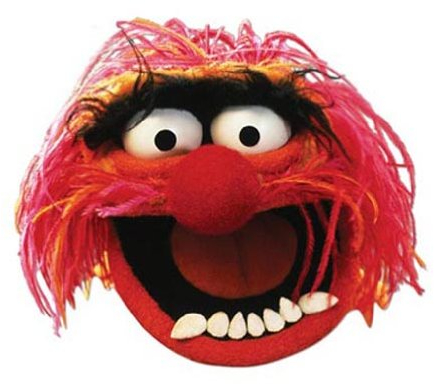 Star Cutouts Bedruckte Gesichtsmaske DER Tiere