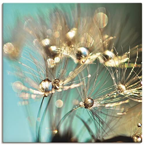 ARTLAND Wanddeko Leinwand Bilder Wandbild 70 x 70 cm Innere Ruhe Wellness Natur Pflanzen Blumen Pusteblume Regen Tau Tropfen Gold Sonnenaufgang S9LP