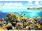 decomonkey Fototapete Aquarium 350x256 cm Design Tapete Fototapeten Vlies Tapeten Vliestapete Wandtapete Wand Schlafzimmer Wohnzimmer Kinderzimmer Korallenriff Fisch Ozean