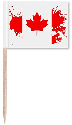Bandera de Canadá con sabor y hoja de arce de palillo de dientes para decoración de fiesta