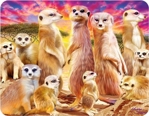 3D LiveLife Lenticular Pictures - Cool Meerkats from Deluxebase. A3 Unframed Deep 3D Effect Animal Wall Art for Living Room, Bedroom or Kitchen. Unique Meerkat Print Poster for Home Decor.