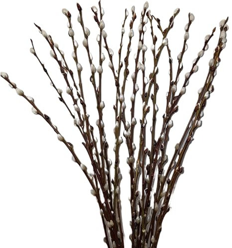 frischer natürlicher WEIDENKÄTZCHEN Bund 70cm. Hochzeitsdeko Osterdeko Frühlingsstrauß (2)