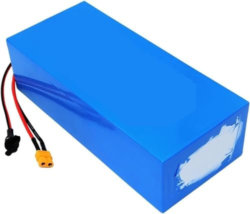 Batterie Li-ION E-Bike 48V 60V 8AH 10AH 12AH 15AH 18AH 20AH 25AH 30AH Batterie Lithium-ION pour Vélo Électrique Batterie Au Lithium pour Moteur 1000W [Classe Énergétique A] 48V30AH,XT60