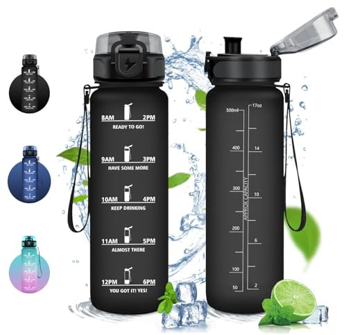 Vikaster Gourde Sport, Bouteille d'eau 500ml, sans BPA, Étanche & Réutilisable, Water Bottle Ouvrir en un Clic, Convient Pour la Yoga, le Gym, le Camping, Gourde Randonnée