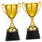 Abaodam 1 Set di Gioco Coppa del della Cerimonia Celebrazione della Festa Premio Partita di Premiazione della Cerimonia della Competizione Cerimoniale 2 Pezzi