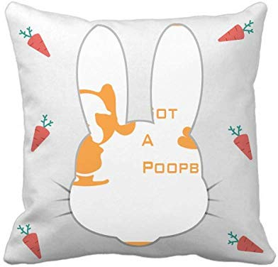 OFFbb-USA Fierce Boston Terrier Poop Problem Kaninchen Überwurf Kissen quadratisch