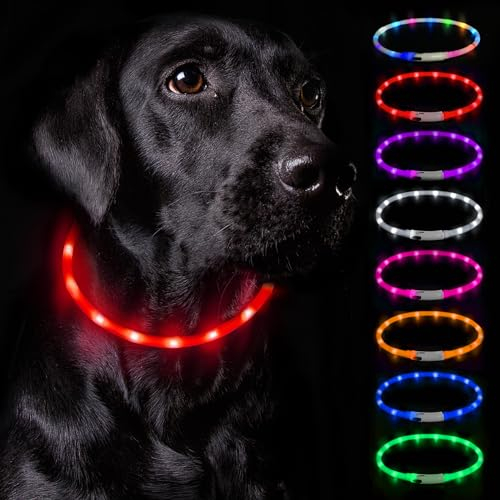 Nepfaivy Leuchthalsband Hund USB Aufladbar - Hundehalsband Leuchtend Wasserdicht mit Verstellbarer Länge, LED Halsband für Hunde mit 3 Beleuchtungsmodi für Sicherheit, Rot