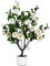 Leflos 90 cm Arbre à Fleurs de Camélia Blanc réaliste, Arbre à Fleurs Artificiel, Plante Florale en Pot Blanc pour la décoration intérieure de la Maison