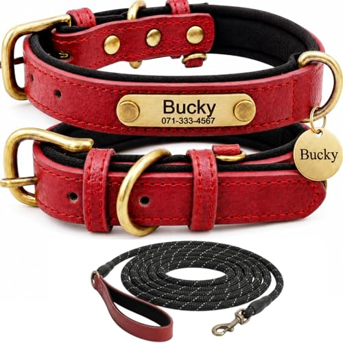 Personalised Leather Dog Collar and Lead Set with Engraved Name ID Plate, Adjustable Comfort Design for Small Medium and Large Dogs, Custom Dog Walking Collar Set