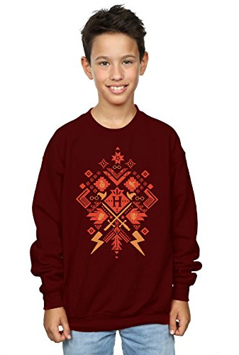 Harry Potter Boys Christmas Fair Isle Sweatshirt