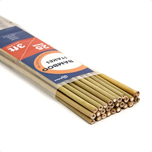 COLOtime Bambusstäbe für Pflanzen im Innen- und Außenbereich, 25 Stück, 91 cm, für Tomaten, Auberginen, Bohnen