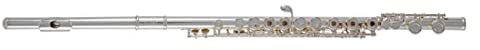 Roy Benson Querflöte FL-402R2, inkl. Holzetui mit Tasche