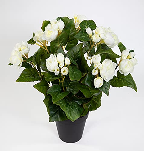 Seidenblumen Roß Begonie 38cm weiß im Topf LM Kunstpflanzen Kunstblumen künstliche Blumen Pflanzen Begonienbusch