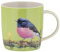 Maxwell & Williams DX1121 Kaffee-Becher rund Singvogel, 370 ml, Porzellan-Tasse, Bird Talk, Tier-Motiv bunt, Geschenkbox
