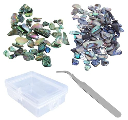 CWPFVQA 2x 80g Abalone-Muscheln, 1 Pinzette, 1 Aufbewahrungsbox - Muschel-Bastelset für Schmuck und Handwerk