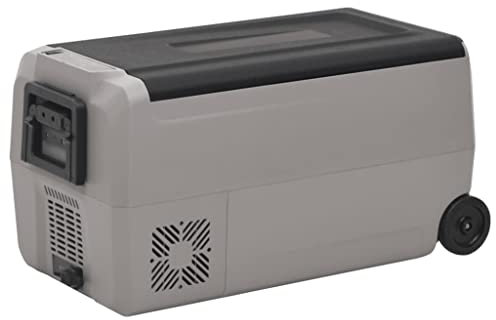 Nevera con rueda y asa, color negro y gris, 60 L, PP&PE