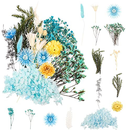 Halinuia Natürlicher Trockenblumenstrauß Echte Blumen gepresst Dekoration für Basteln Epoxydharz Blumenschmuck Nail Art DIY Kerze Handarbeit Scrapbooking(Blau)
