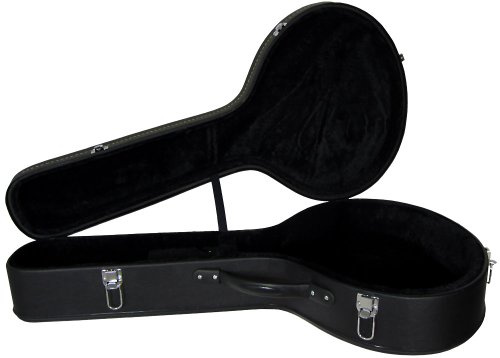 Large Bodied Mandola Case