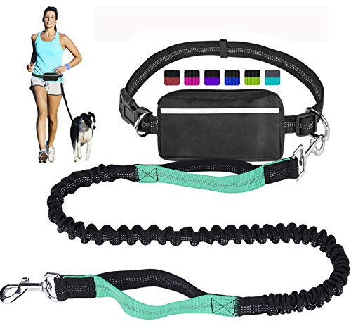 Hundeleine für Laufen, Spazierengehen, Training, Wandern, Doppelgriff, reflektierender Bungee, Kotbeutelspender, stoßdämpfend, ideal für mittelgroße bis große Hunde (schwarz/blaugrün)