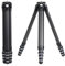 Treppiede Falcam TreeRoot F38 Pro in fibra di carbonio, 155 cm, blocco rapido, carico 5 kg, interfacce F22, vite 1/4, fori per tracolla per fotocamere DSLR, mirrorless e video (R140T)