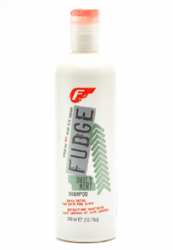 Fudge Daily Mint Shampoo, 1er Pack (1 x 300 ml)