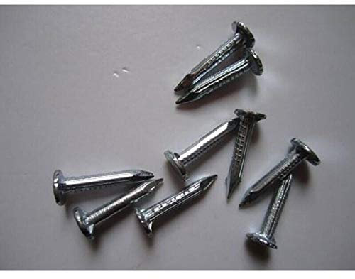 Clou en acier à grosse tête large, clou de ciment, clou de planche de bois