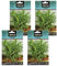 Pack 4 Semillas de estragón de Semillas Batlle PACK (4)