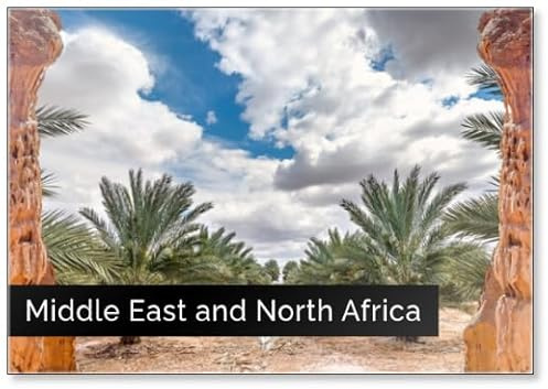 Plantation de palmiers dattiers pour une production alimentaire saine et sans OGM. Le palmier dattier est une plante ancienne emblématique et une culture alimentaire célèbre au Moyen-Orient et en