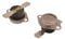 Hotpoint C00262243 Creda Indesit Tumble Dryer Thermostat
