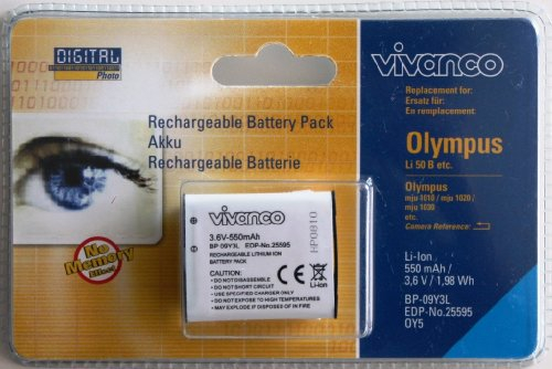 Vivanco BP 09Y3L - Batteria ricaricabile agli ioni di litio (Li-ION), 550 mAh, 3,6 V, batterie ricaricabili (550 mAh, agli ioni di litio (Li-ION), 3,6 V, bianco)