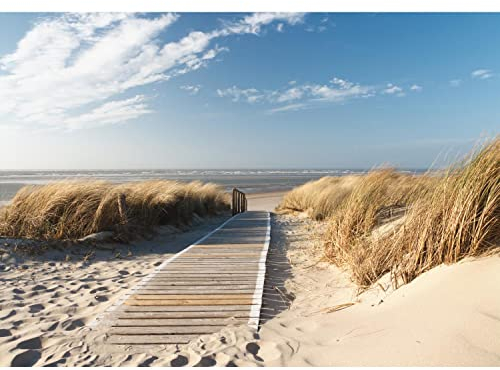 Runa Art Papier peint intissé Mural Plage et mer Moderne Toison Salon Chambre à Coucherr Salle - Tableaux Muraux Tapisserie Photo - brun bleu 9008010b