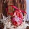 Ostereier Bunt Bemalt Aus Holz 6-6,5 Cm Traditioneller Osterschmuck Rustikale Dekoration Für Osterstrauch