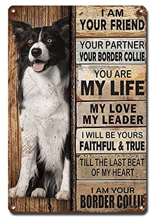 Oudrspo Retro Border Collie Metal Tin Sign I Am Your Friend Gift For Border Collie Lovers Poster Vintage Metal Plaque Wall Decor Gift For Bathroom Restaurant Farm Cafe School Bedroom 8x12inch