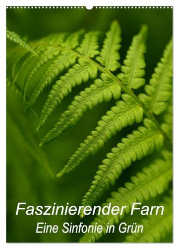 Faszinierender Farn - Eine Sinfonie in Grün (Wandkalender 2026 DIN A2 hoch), CALVENDO Monatskalender: Details von Farnpflanzen kunstvoll in Szene gesetzt (CALVENDO Natur)