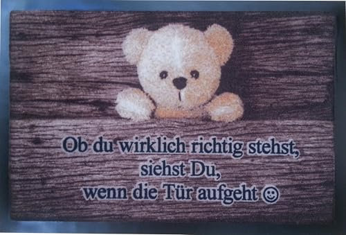 Fußmatte Tiere Eulen Katzen Hunde Blumen für Innen und Außen Home 40x60 cm wetterfest rutschfest waschbar (Teddybär)