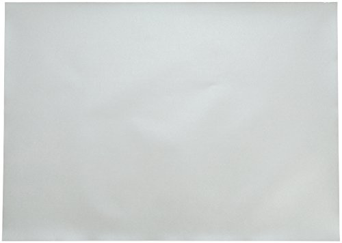 Clairefontaine 397181C Packung (mit 250 Bögen Zeichenpapier Maya, 50 x 70 cm,120g, glatt, ideal für Trockentechnik und Einrahmen) silber