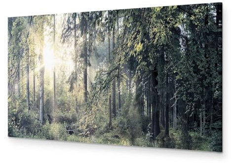 murando Akustikbild Bilder Akustikschaum Hochleistungsschallabsorber Schallschutz Leinwand 1 tlg Wandbild Raumakustik Schalldämmung Landschaft Natur Wald Bäume c-C-0032-b-d