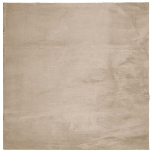 vidaXL Teppich, Wohnzimmerteppich Kurzflor Weich Waschbar, Moderner Teppich für Wohnzimmer Schlafzimmer, Flauschig Einfarbig rutschfest, Sandfarben 160x160cm