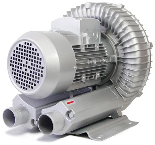 Bomba Soplante Monofásica, Bomba de Agua para Piscina y Jacuzzi, Depuradora Piscina,220V-180W